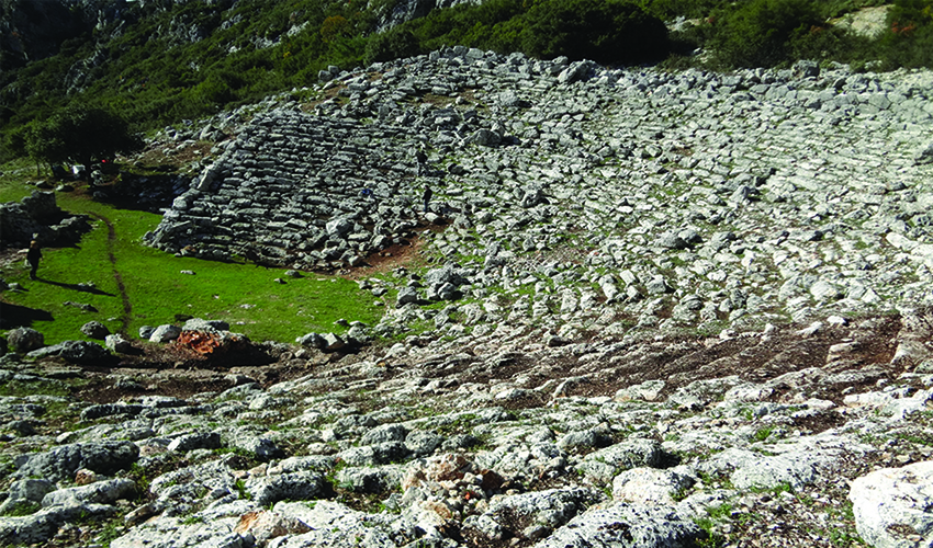 43 theato kasopis